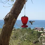 Casa Biulu
