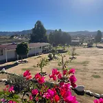 Finca Rositas