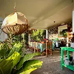 Santuario Ave Fenix-Cabanas