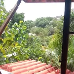 Posada Olivo