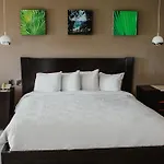 Hilton Garden Inn Veracruz Boca Del Rio