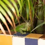 Casa Mazunte Tierra Viva