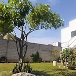 Loft Con Jardin Amplio 3