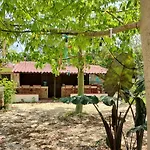 Hotel Y Museo Aldea Maya Toktli Origenes - All Village, Alberca, Wifi Starlink, Tour Museo