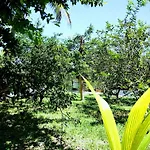 Hotel Y Museo Aldea Maya Toktli Origenes - All Village, Alberca, Wifi Starlink, Tour Museo