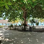 Freedom Shores \