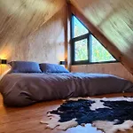 Cabanas Grasshopper Shield