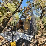 Cabanas Grasshopper Shield
