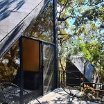 Cabanas Grasshopper Shield