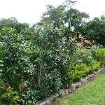 Ecotel Quinta Regia