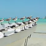El Corazon Boutique Hotel - Adults Only With Beach Club Pass Included