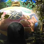 Temazcal Casa Gema (Adults Only)