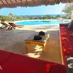 Casa Olivacea - Beachfront Villa