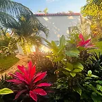 Green Paradise Leona Vicario