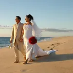 Serendipity