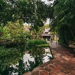 Amomoxtli