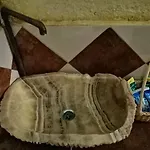 Hotel Casa Del Arbol