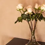 Rosas & Xocolate Boutique Hotel And Spa Merida, A Member Of Design Hotels