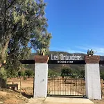 Las Orquideas