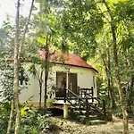 Jolie Jungle Eco Hotel (Adults Only)