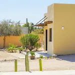 Desert Wind
