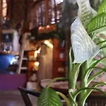 Posada Del Molino