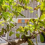 Studio Apartment Close To The Beach-Starlink Wifi