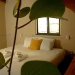 Casa Mate Secondlinebeach House El Cuyo
