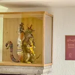 Hotel Boutique Casa Alebrije