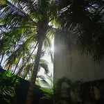 Decu Downtown