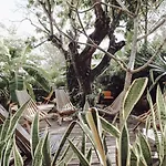 Hotel Boutique Kaa