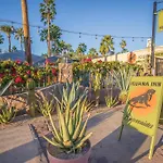 Iguana Inn