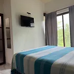 Casa Koru