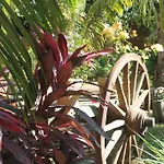 Posada Las Flores