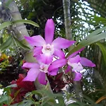 Finca Chipitlan Hotel