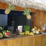 Palapas Las Gonzas