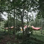 Hostal Tosepan Kali