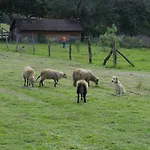 Campamento Zirahuen