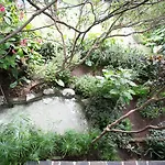 Hotel Jacarandas