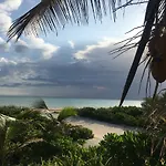 Ocean Dream Beachfront House