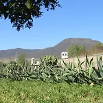 Living Spirit San Miguel De Allende