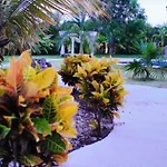 Quinta Souffle