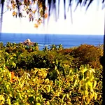 Villa Luna De Miel
