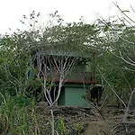 Gaia Paraiso