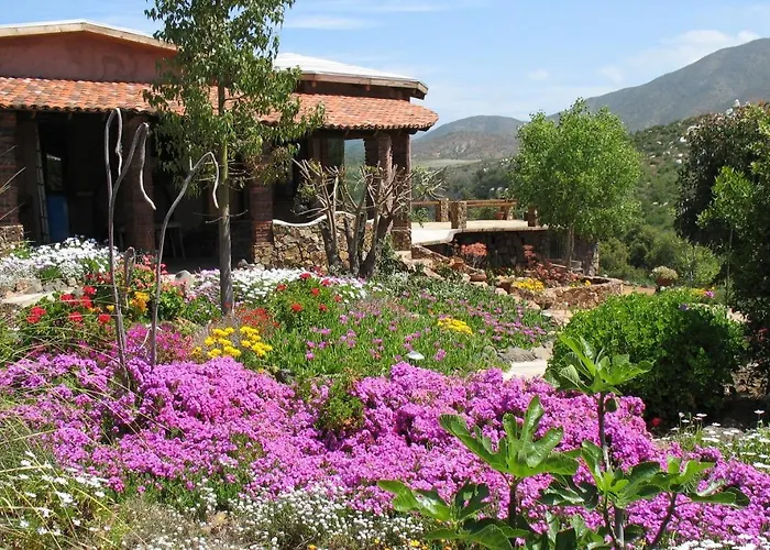 Quinta Maria En La Ruta Del Vino