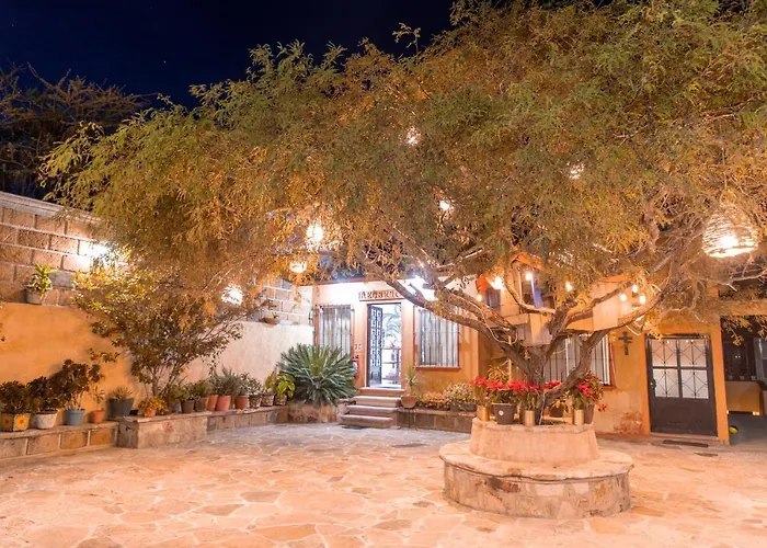 Hotel Casa Del Arbol