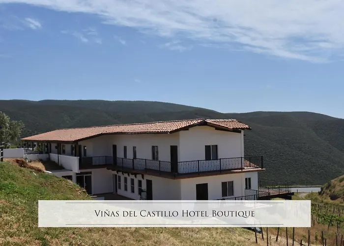 Vinas Del Castillo
