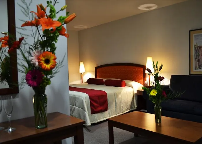 Hotel Mediterraneo Sa De Cv