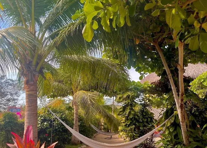 Troncones Point Hostel