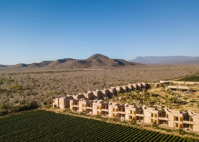 Paradero Todos Santos - Exclusive Experiences Included
